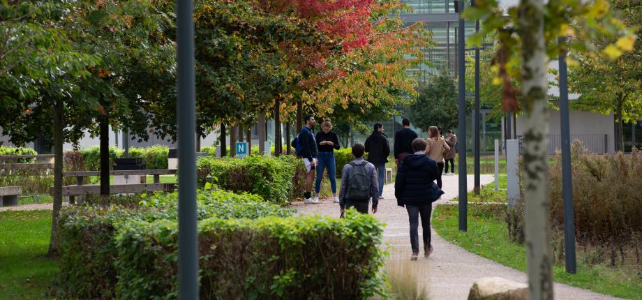 Environmental, Energy, and Transportation Economics (EEET) Program