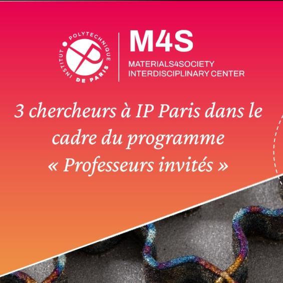 Accueil de trois chercheurs internationaux dans le cadre du programme "Professeurs invités" du centre M4S